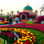 Dubai Miracle Garden is now open from 28th September 2024